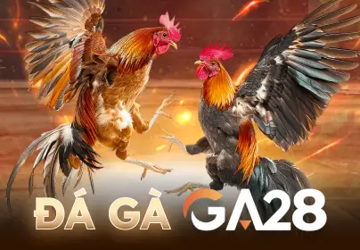 VABET Đá Gà GA28