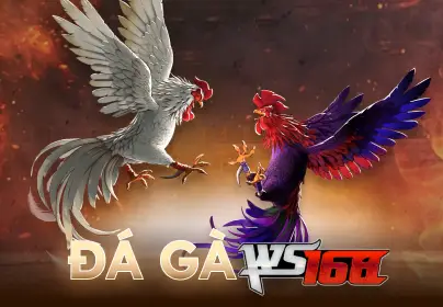 VABET Đá Gà WS168